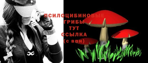 бошки Бугульма