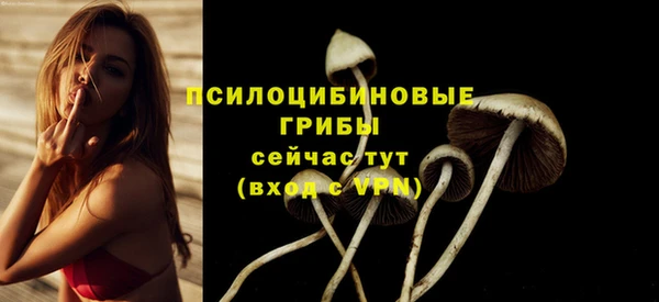 каннабис Белокуриха