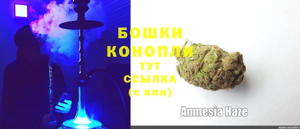 стафф Бронницы