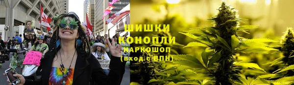 стафф Бронницы