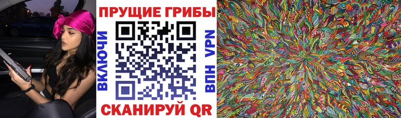 hydra ссылки  дарнет шоп  Гудермес  Галлюциногенные грибы мицелий 